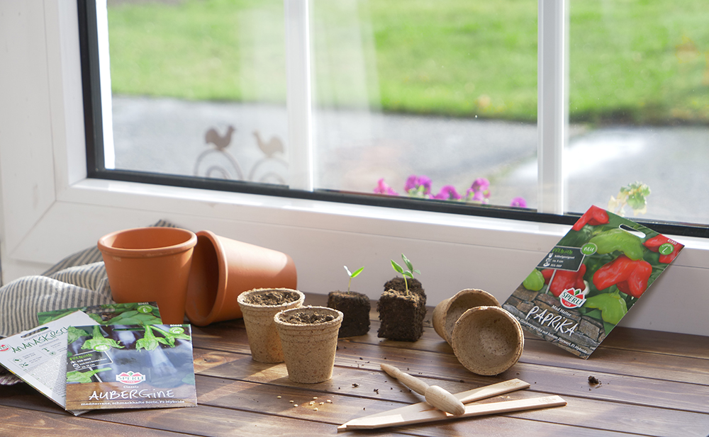 Gartenblog - Aussaat auf der Fensterbank